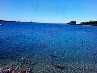 Sa Rostisseria Des Fornet