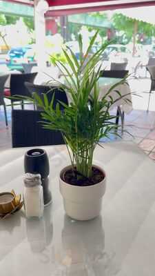 Restaurante Happy Days