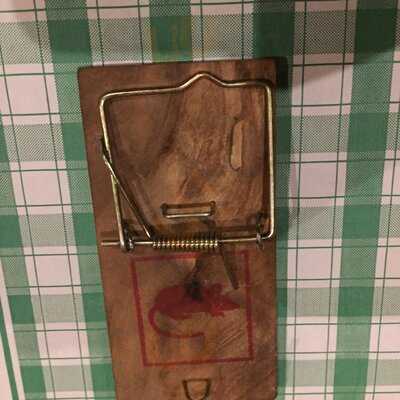 A Casa Mia Da Gigi E Danilo