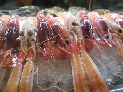 Cervecería La Gamba