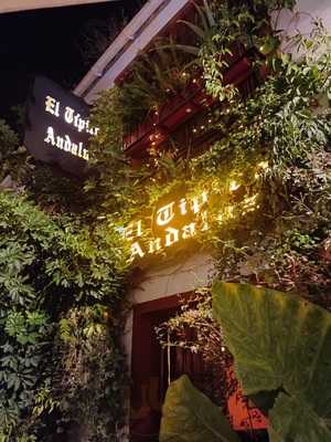 Bar El Tipico Andaluz