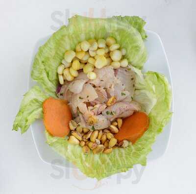 El Abrazsador Rojas Solis