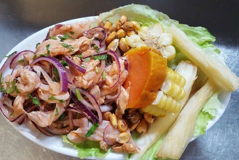 El Abrazsador Rojas Solis