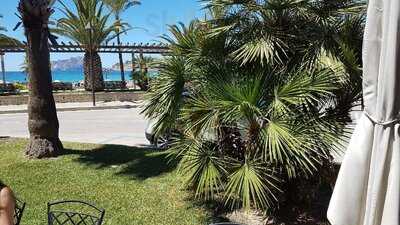 Panaderia Cafeteria Piquer