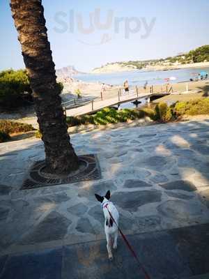 Panaderia Cafeteria Piquer