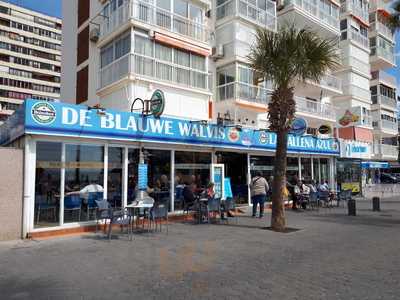 De Blauwe Walvis