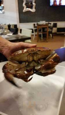 La Bodeguita Tapapin