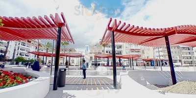 Bar Bistro El Vecino