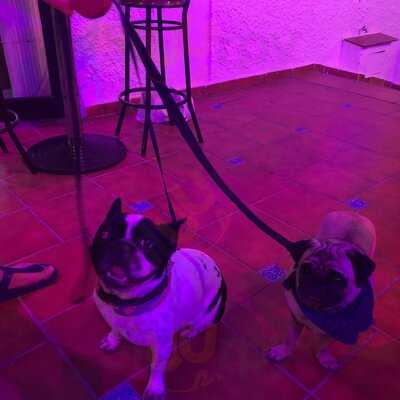 Gastrobar El Flamenco