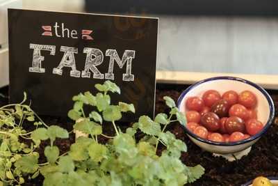 The Farm