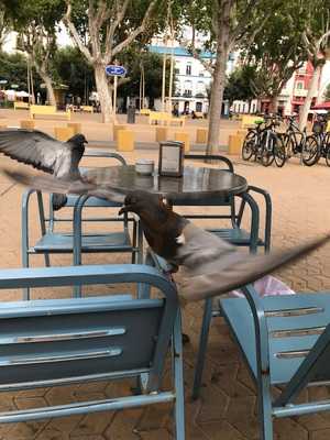 El Corral De Esquivel