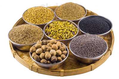 Veggie Garden 100% Vegano