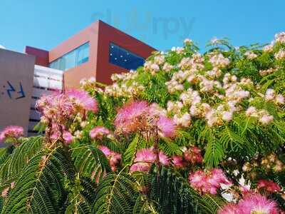 Restaurante Acuario De Zaragoza