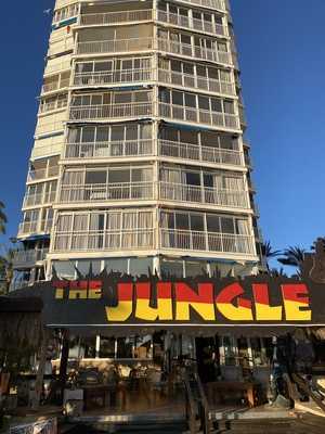 The Jungle