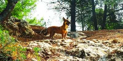 Pins Padel Club House