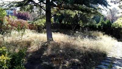 Restaurante San Lamberto