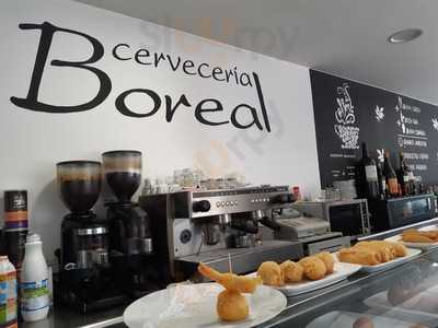 Cerveceria Boreal