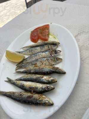 Sociedad De Pesca Deportiva Marbella