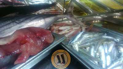 Mesón Bar Espolaina