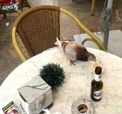 Restaurante Arcasa Caixaforum Mallorca