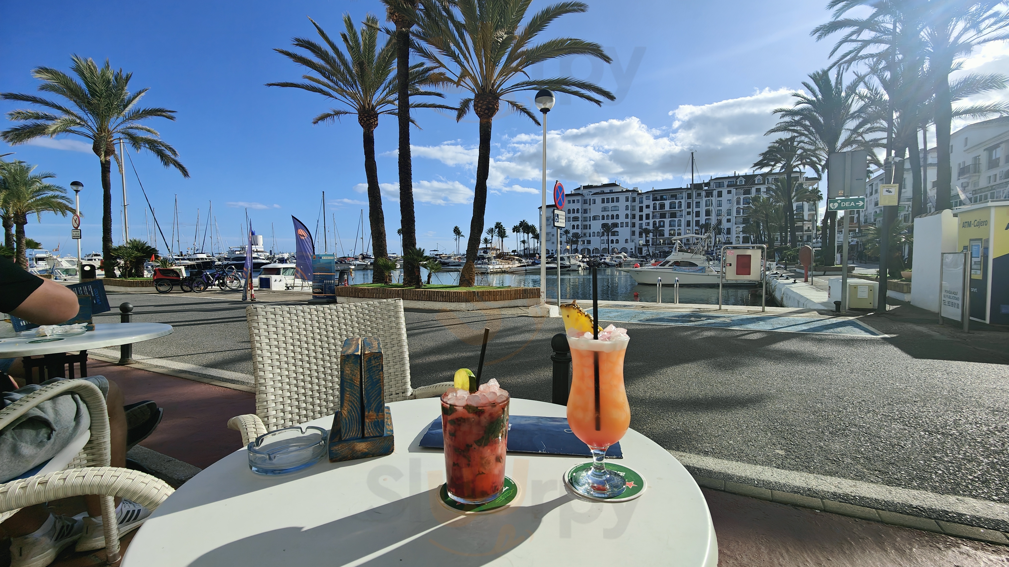 Dolphin Cafe Bar