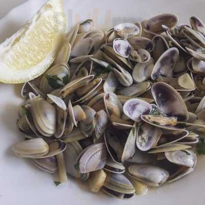 Cervecería Cruz Blanca