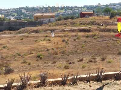 Sociedad Gastronomica La Porra