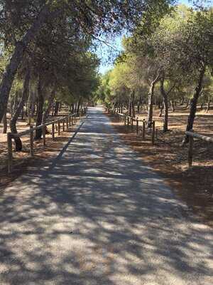 Restaurante Mesón De Laura