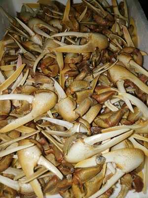 Pena Ssvillista Eindhoven