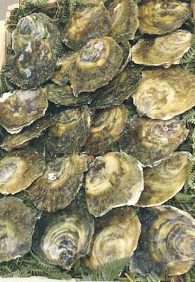 La Bodega Del Tio Jorge