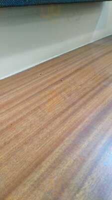 Cafeteria El Pi Del Cugat