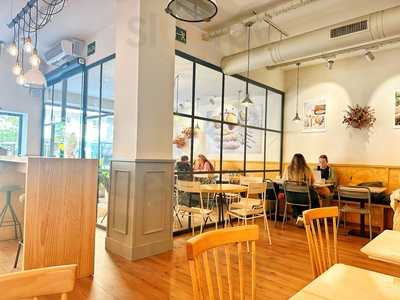 Santagloria Zaragoza