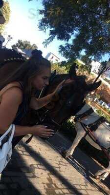 Zafiro Wine & Gin Bar