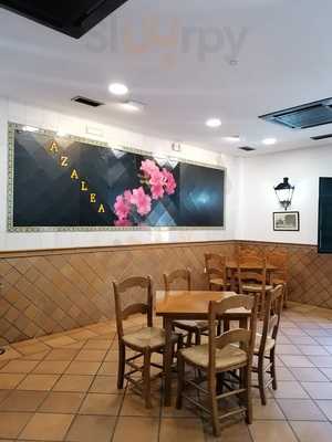 Taberna Azalea