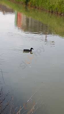 Restaurante San Marcos Parque Venecia