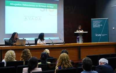 Cafeteria Colegio De Abogados Icav