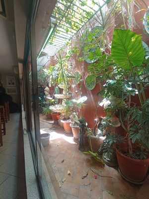 Photo 4