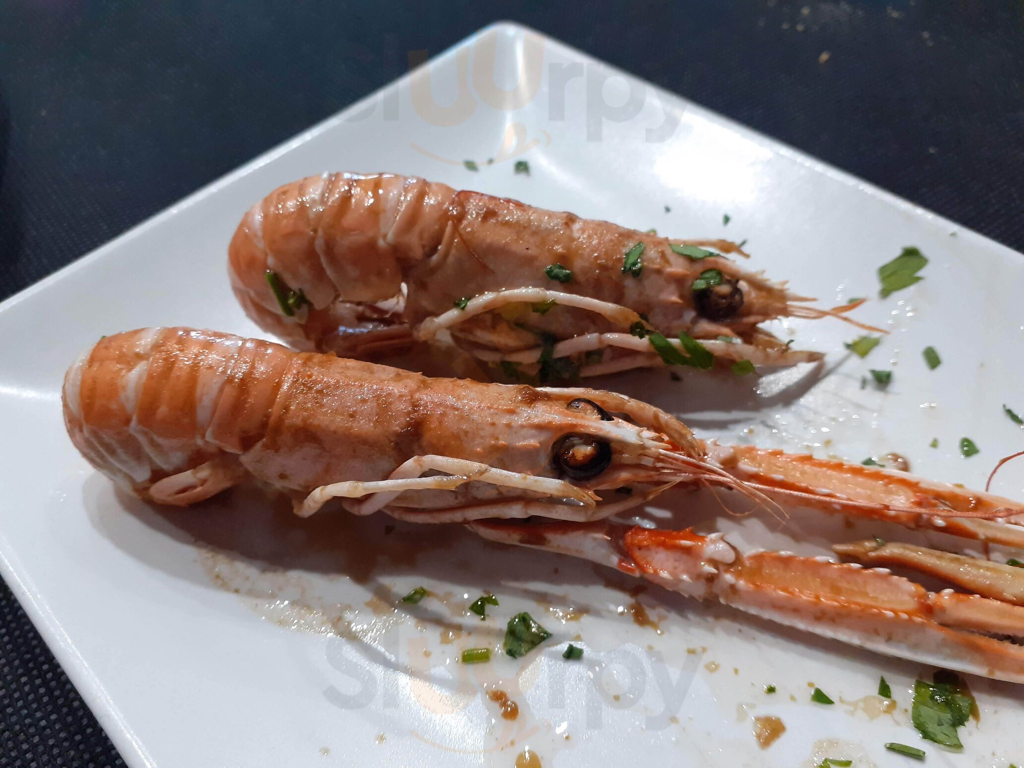 Los Hechizos De Morgana