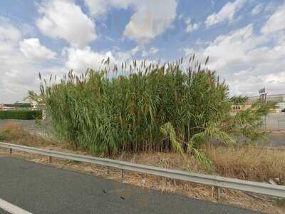 Restaurante El Chaparral Asador