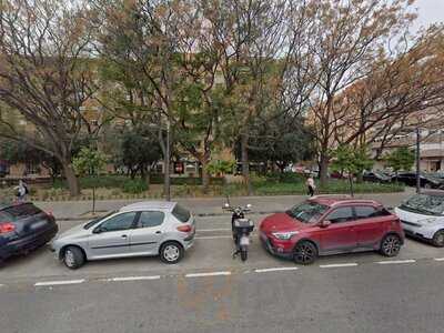 Cronicass Carnivoras