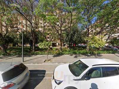 Cronicass Carnivoras