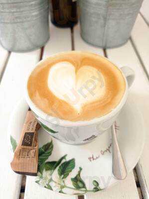 Tomate Fresh Fun Food