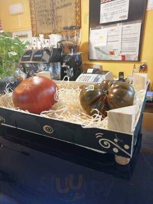 La Bodeguica Del Morcón