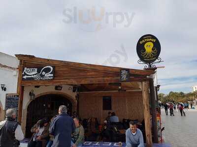 Octopus Bar