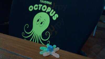 Octopus Bar