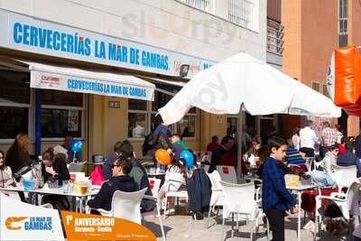 Cervecería Macarena