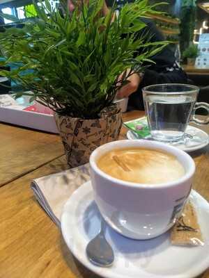 Fast Casual Pizza & Tasty