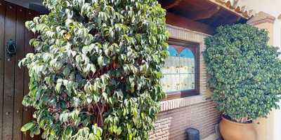 Restaurante La Alcazaba De Mijas