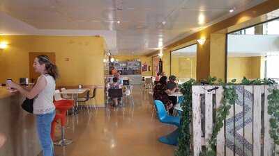 Cafetería Museo Teatro Caesaraugusta