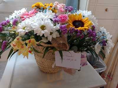 La Reina De Los Bares